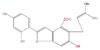 FLII1LNI0001.png