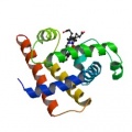 Thumbnail for version as of 10:55, 24 April 2012