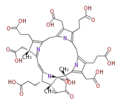 Thumbnail for version as of 17:56, 11 June 2010