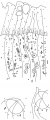Thumbnail for version as of 14:51, 20 February 2011