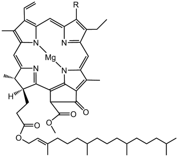 File:BMCCPPCL.png