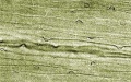Thumbnail for version as of 12:14, 1 December 2010