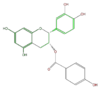 FL63ACNS0022.png