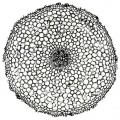 Thumbnail for version as of 12:14, 1 December 2010