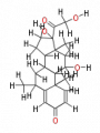 Thumbnail for version as of 20:46, 21 February 2011
