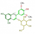 Thumbnail for version as of 16:44, 14 January 2011