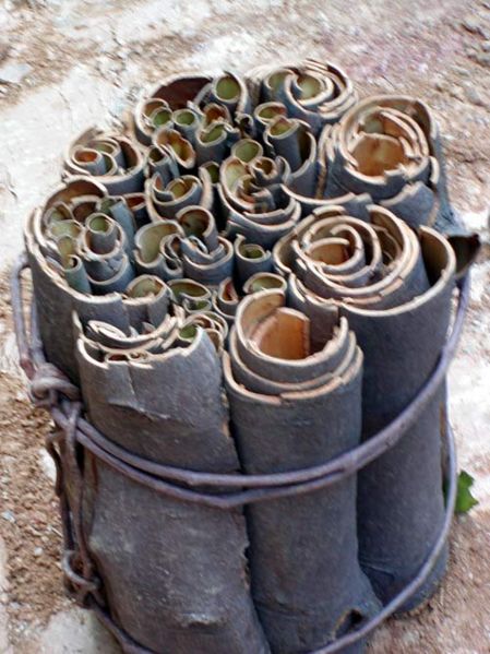 File:Tochimoto-Cinnamon-P1010009.jpg