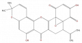 Thumbnail for version as of 17:02, 1 February 2008