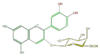 FL7AACGA0001.png