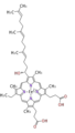Thumbnail for version as of 16:04, 19 June 2009
