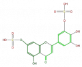 Thumbnail for version as of 17:03, 1 February 2008