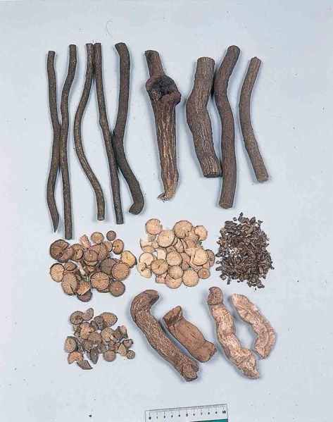 File:Alps:Sinomeni Caulis et Rhizoma.jpg