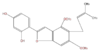 FLII1LNI0002.png