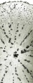 Thumbnail for version as of 12:14, 1 December 2010