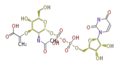 Thumbnail for version as of 16:37, 19 June 2009