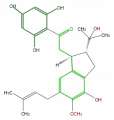 Thumbnail for version as of 17:03, 1 February 2008