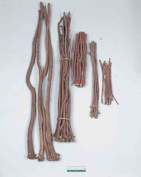 File:Glycyrrhizae Radix.jpg