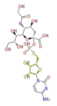 Thumbnail for version as of 16:35, 19 June 2009