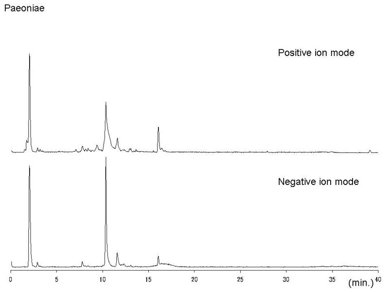 File:Paeoniae LC-MS.jpg