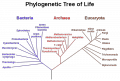 Thumbnail for version as of 22:23, 18 December 2011