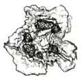 Thumbnail for version as of 12:14, 1 December 2010