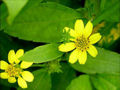 BG-wed01112.jpg