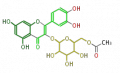 Thumbnail for version as of 10:29, 23 December 2009