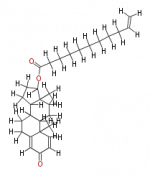 COX00017.png