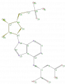 Thumbnail for version as of 14:15, 11 June 2009
