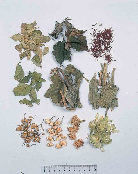 File:Alps:Herba2.jpg