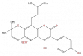 Thumbnail for version as of 17:02, 1 February 2008