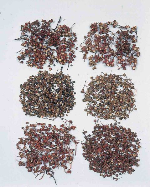 File:Alps:Zanthoxyli Fructus.jpg