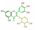 Thumbnail for version as of 10:35, 23 December 2009