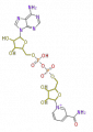 Thumbnail for version as of 10:19, 23 December 2009