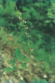 BG-des01191.jpg