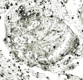 Thumbnail for version as of 22:06, 10 November 2010