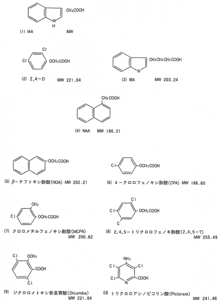 File:Plantbiotech-Higuchi-02-002.png