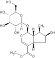 Thumbnail for version as of 09:36, 11 December 2009