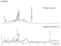 Thumbnail for version as of 09:46, 3 February 2011