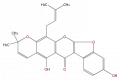 Thumbnail for version as of 17:02, 1 February 2008