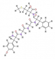 Thumbnail for version as of 20:47, 21 February 2011