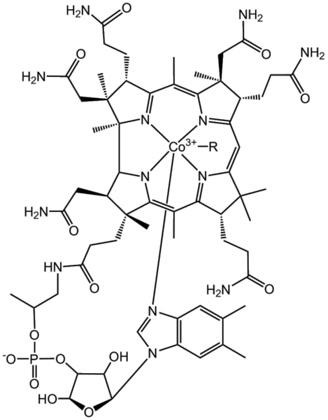 File:BMCCPPCB.png