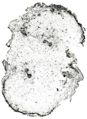 Thumbnail for version as of 12:14, 1 December 2010