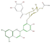 FL7AAGGS0007.png