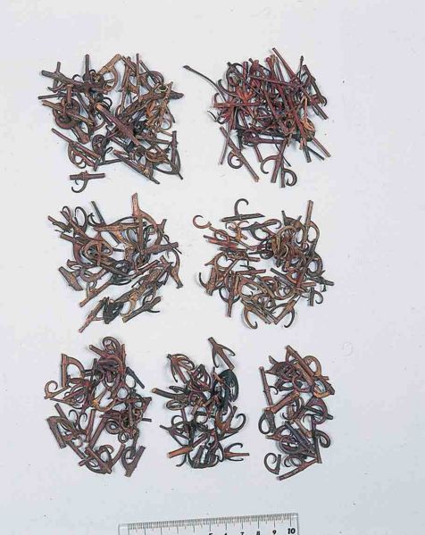 File:Alps:Uncariae Uncis cum Ramulus.jpg