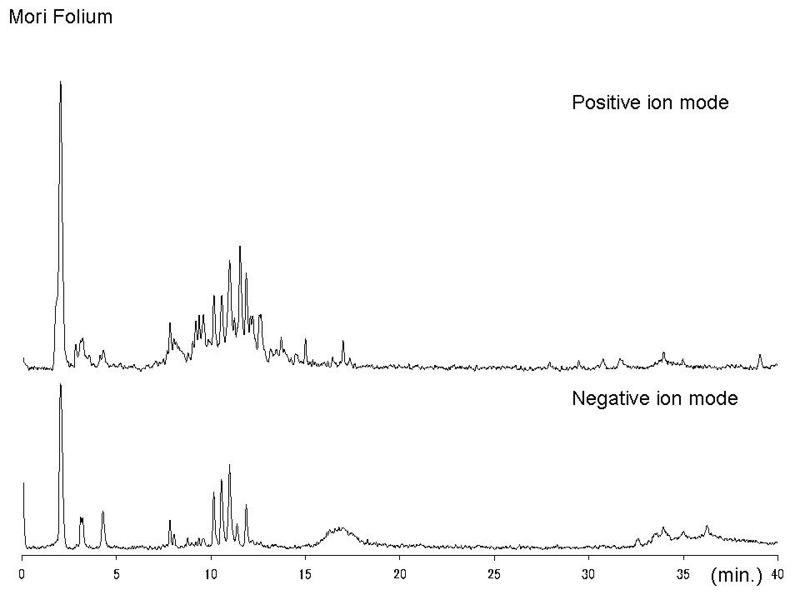 File:Mori Folium LC-MS.jpg