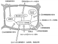 Thumbnail for version as of 10:26, 13 July 2011