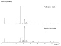Thumbnail for version as of 15:27, 8 February 2011