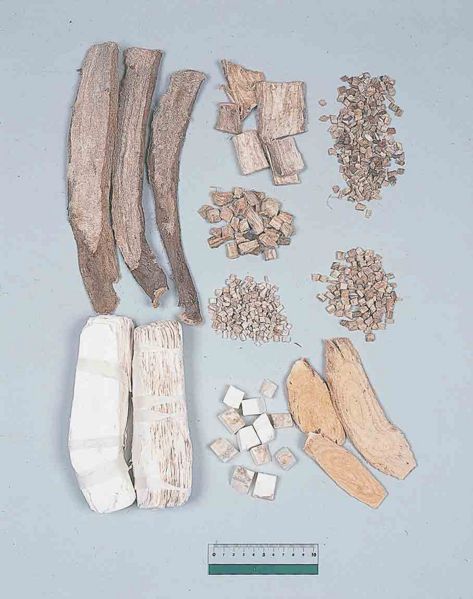File:Alps:Puerariae Radix.jpg