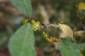 BG-str04281.jpg